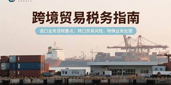 (7.15)跨境贸易税务指南，进口业务退税要点，转口贸易风险，特殊业务处理